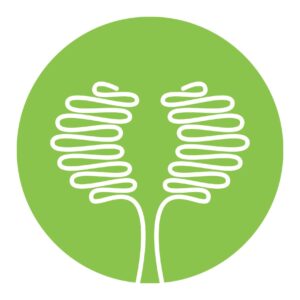PRINE-Health-Logo.jpg